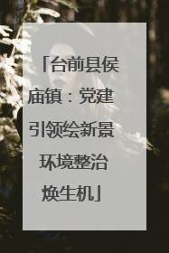 台前县侯庙镇：党建引领绘新景 环境整治焕生机