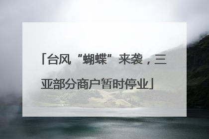 台风“蝴蝶”来袭，三亚部分商户暂时停业