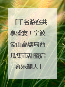 千名游客共享盛宴！宁波象山高塘岛西瓜集市甜蜜启幕乐翻天