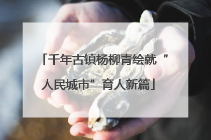 千年古镇杨柳青绘就“人民城市”育人新篇