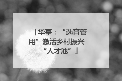 华亭：“选育管用”激活乡村振兴“人才池”