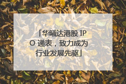 华曦达港股 IPO 递表，致力成为行业发展先驱