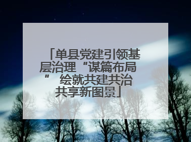 单县党建引领基层治理“谋篇布局” 绘就共建共治共享新图景