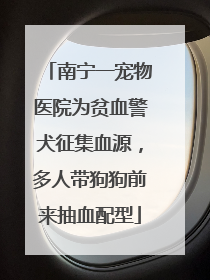 南宁一宠物医院为贫血警犬征集血源，多人带狗狗前来抽血配型