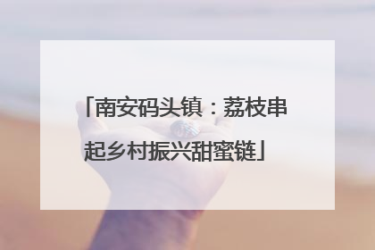 南安码头镇：荔枝串起乡村振兴甜蜜链