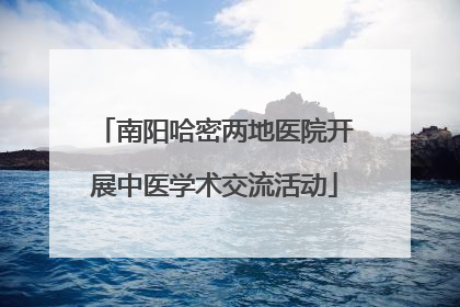 南阳哈密两地医院开展中医学术交流活动