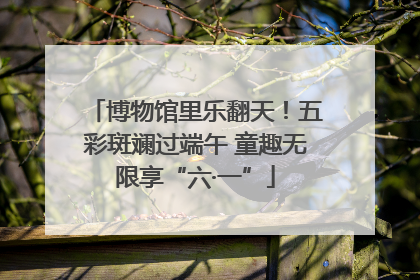 博物馆里乐翻天！五彩斑斓过端午 童趣无限享“六·一”
