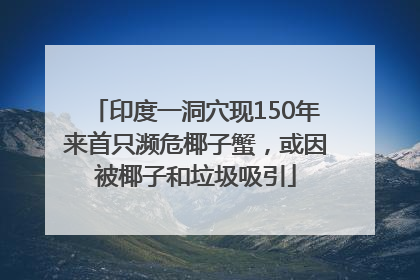 印度一洞穴现150年来首只濒危椰子蟹，或因被椰子和垃圾吸引