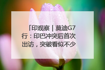 印观察｜莫迪G7行：印巴冲突后首次出访，突破看似不少实质成果不多