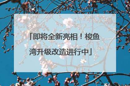 即将全新亮相！梭鱼湾升级改造进行中