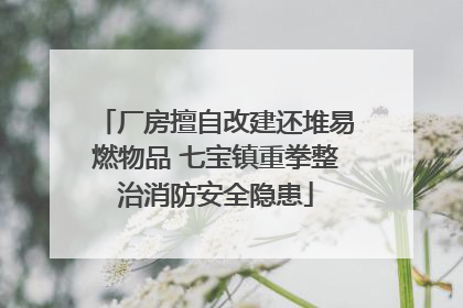 厂房擅自改建还堆易燃物品 七宝镇重拳整治消防安全隐患