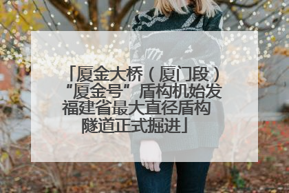 厦金大桥（厦门段）“厦金号”盾构机始发 福建省最大直径盾构隧道正式掘进
