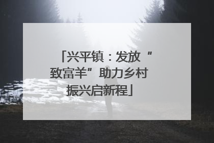 兴平镇：发放“致富羊”助力乡村振兴启新程