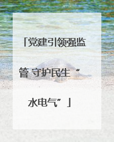 党建引领强监管 守护民生“水电气”