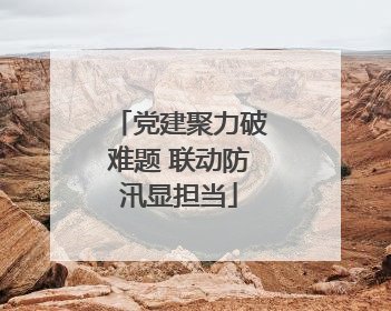 党建聚力破难题 联动防汛显担当