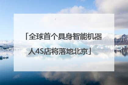 全球首个具身智能机器人4S店将落地北京