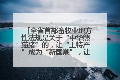 全省首部畜牧业地方性法规是关于“中华熊猫猪”的，让“土特产”成为“新国潮”，让“农产品”升格为“城市IP”