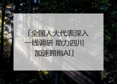 全国人大代表深入一线调研 助力四川加速拥抱AI
