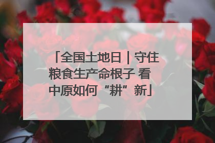 全国土地日｜守住粮食生产命根子 看中原如何“耕”新