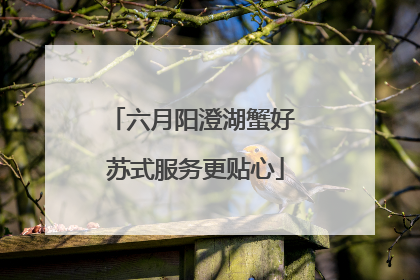 六月阳澄湖蟹好 苏式服务更贴心