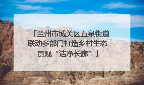 兰州市城关区五泉街道联动多部门打造乡村生态景观“洁净长廊”