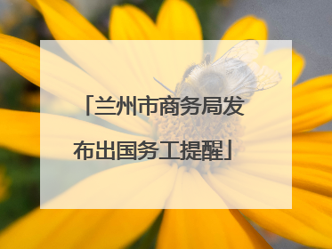 兰州市商务局发布出国务工提醒