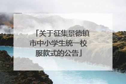 关于征集景德镇市中小学生统一校服款式的公告