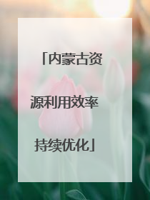 内蒙古资源利用效率持续优化
