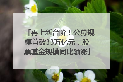 再上新台阶！公募规模首破33万亿元，股票基金规模同比领涨