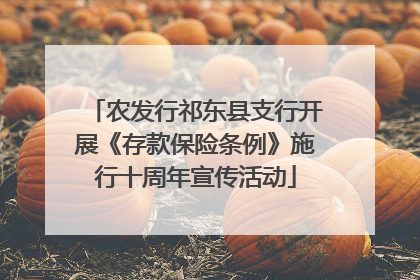 农发行祁东县支行开展《存款保险条例》施行十周年宣传活动