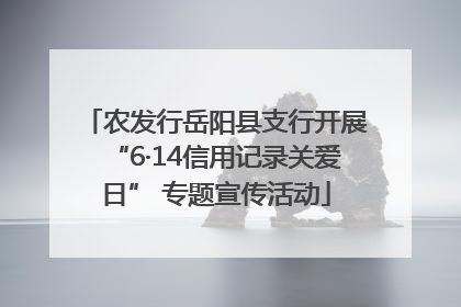 农发行岳阳县支行开展“6·14信用记录关爱日” 专题宣传活动