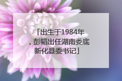 出生于1984年，彭韬出任湖南娄底新化县委书记