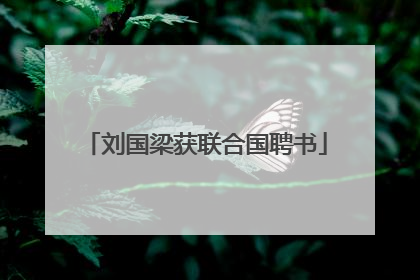 刘国梁获联合国聘书