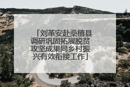 刘革安赴桑植县调研巩固拓展脱贫攻坚成果同乡村振兴有效衔接工作
