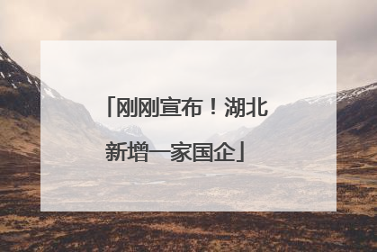 刚刚宣布！湖北新增一家国企