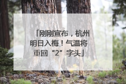 刚刚宣布，杭州明日入梅！气温将重回“2”字头