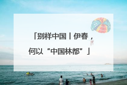 别样中国丨伊春，何以“中国林都”