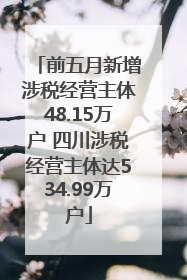 前五月新增涉税经营主体48.15万户 四川涉税经营主体达534.99万户