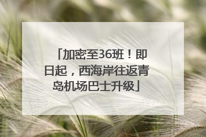 加密至36班！即日起，西海岸往返青岛机场巴士升级