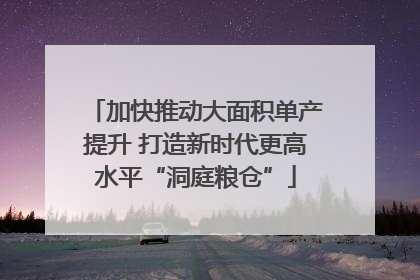加快推动大面积单产提升 打造新时代更高水平“洞庭粮仓”