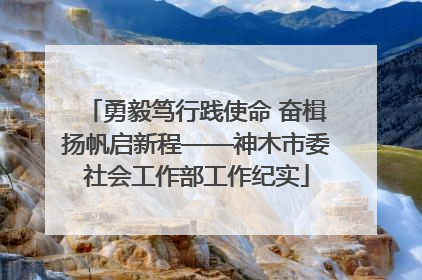 勇毅笃行践使命 奋楫扬帆启新程——神木市委社会工作部工作纪实