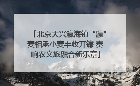 北京大兴瀛海镇“瀛”麦相承小麦丰收开镰 奏响农文旅融合新乐章