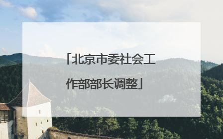 北京市委社会工作部部长调整