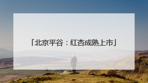 北京平谷：红杏成熟上市