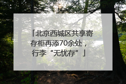 北京西城区共享寄存柜再添70余处，行李“无忧存”