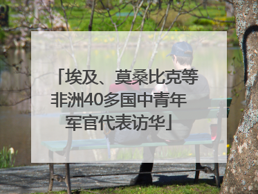 埃及、莫桑比克等非洲40多国中青年军官代表访华
