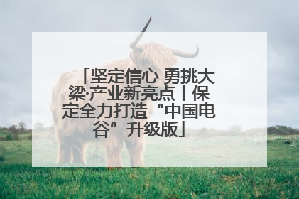 坚定信心 勇挑大梁·产业新亮点丨保定全力打造“中国电谷”升级版