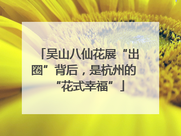 吴山八仙花展“出圈”背后，是杭州的“花式幸福”