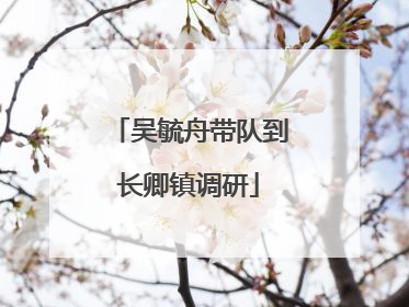 吴毓舟带队到长卿镇调研