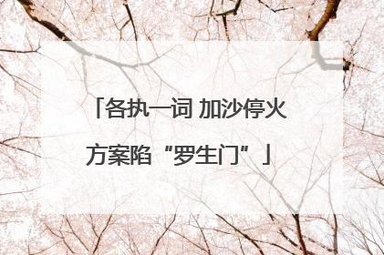 各执一词 加沙停火方案陷“罗生门”